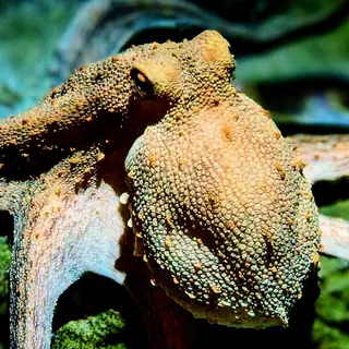 Acquario civico di Milano – Photo 2 of 2