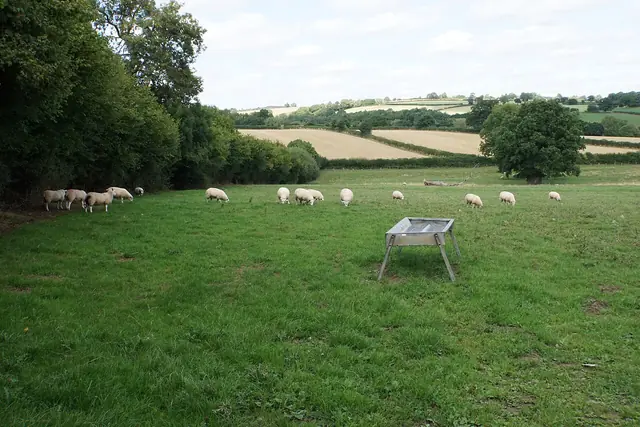 Acton Scott Heritage Farm in Church Stretton – Bild 3 von 3