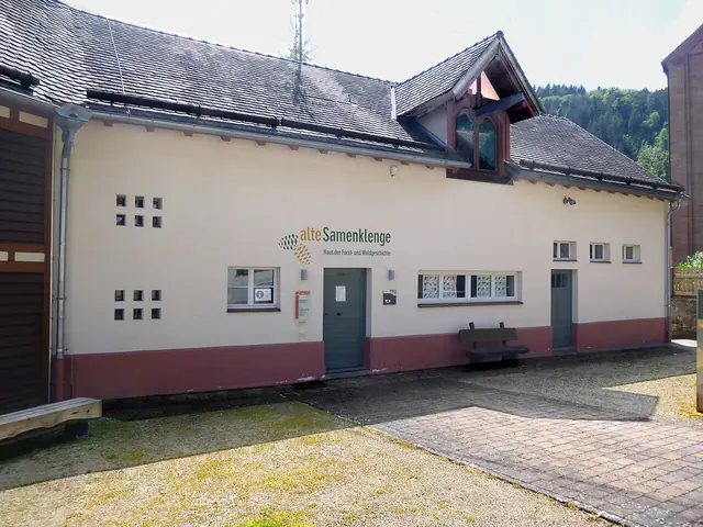Alte Samenklenge in Elmstein