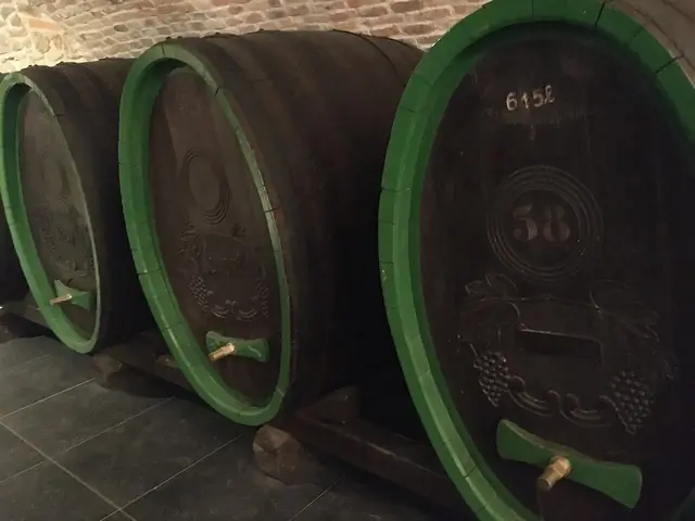 Apponyiho palác in Bratislava – Photo 3 of 3