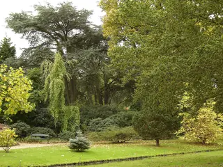 Trompenburg Tuinen & Arboretum in Roterdão