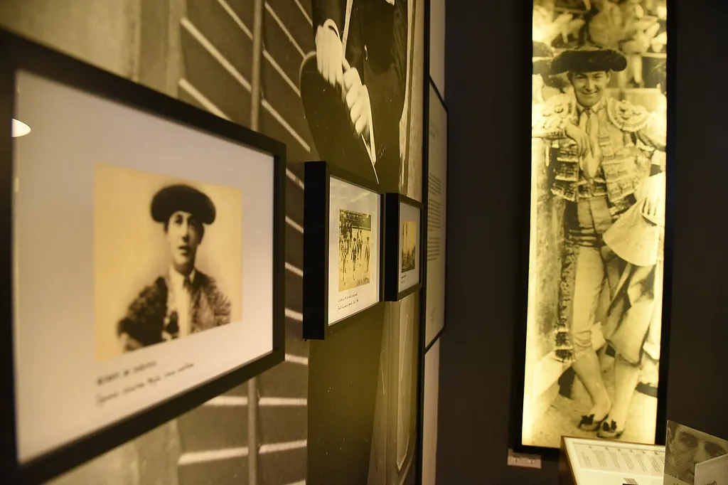 Archivo-Museo Ignacio Sánchez Mejías in Manzanares