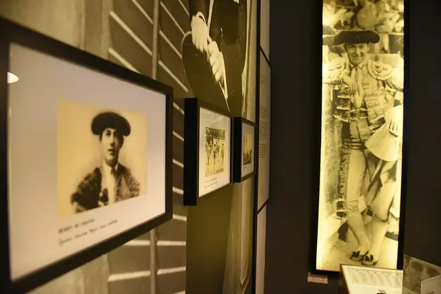 Archivo-Museo Ignacio Sánchez Mejías in Manzanares