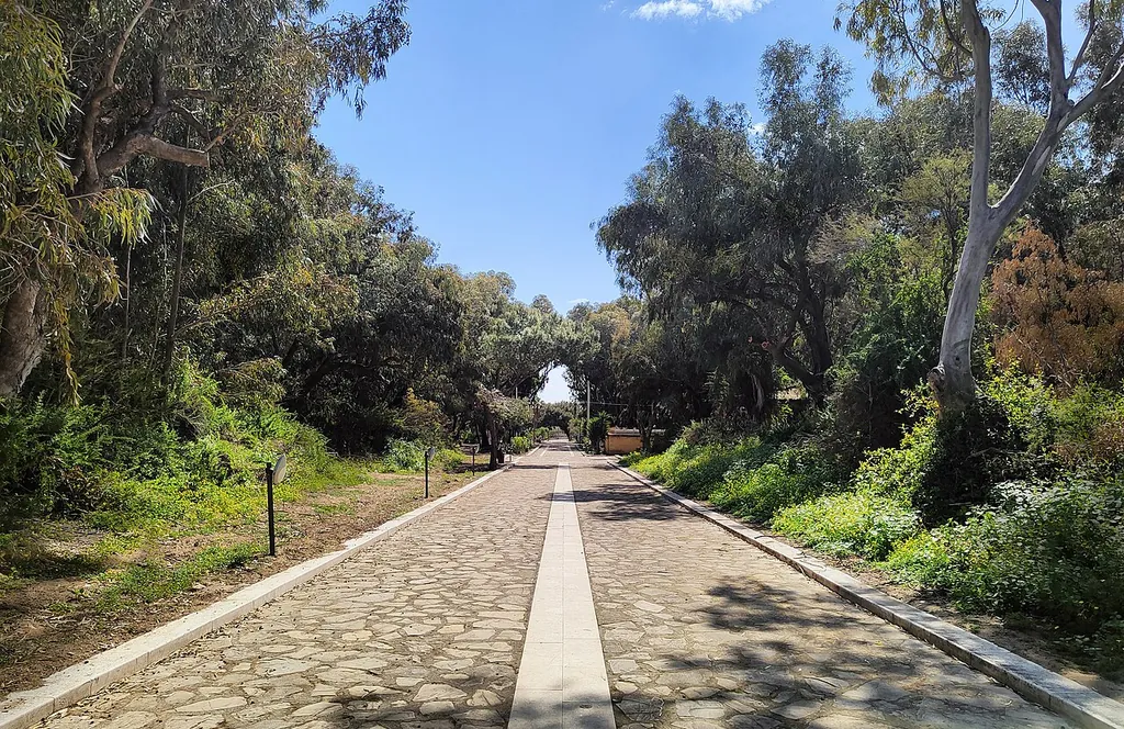 Area archeologica di Bosco Littorio in Gela
