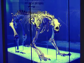 Arkeologisk museum in Stavanger – Bilde 3 av 6