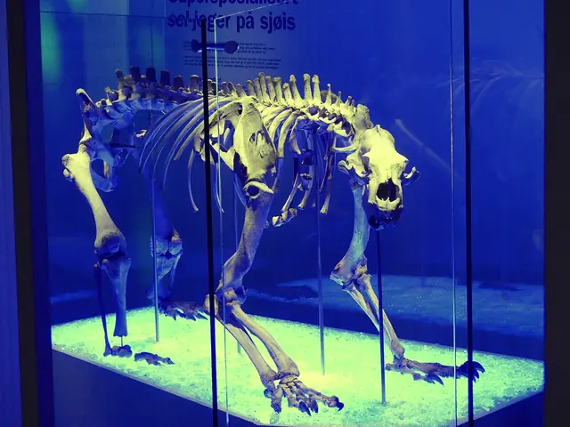 Arkeologisk museum in Stavanger – Bilde 3 av 6