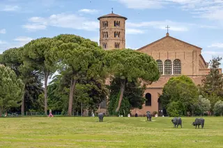 Basilica di Sant'Apollinare in Classe in Ravenna – Photo 6 of 7