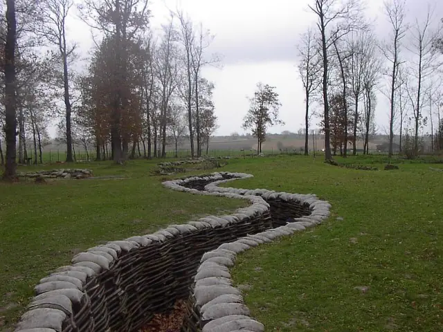 Bayernwald in Heuvelland
