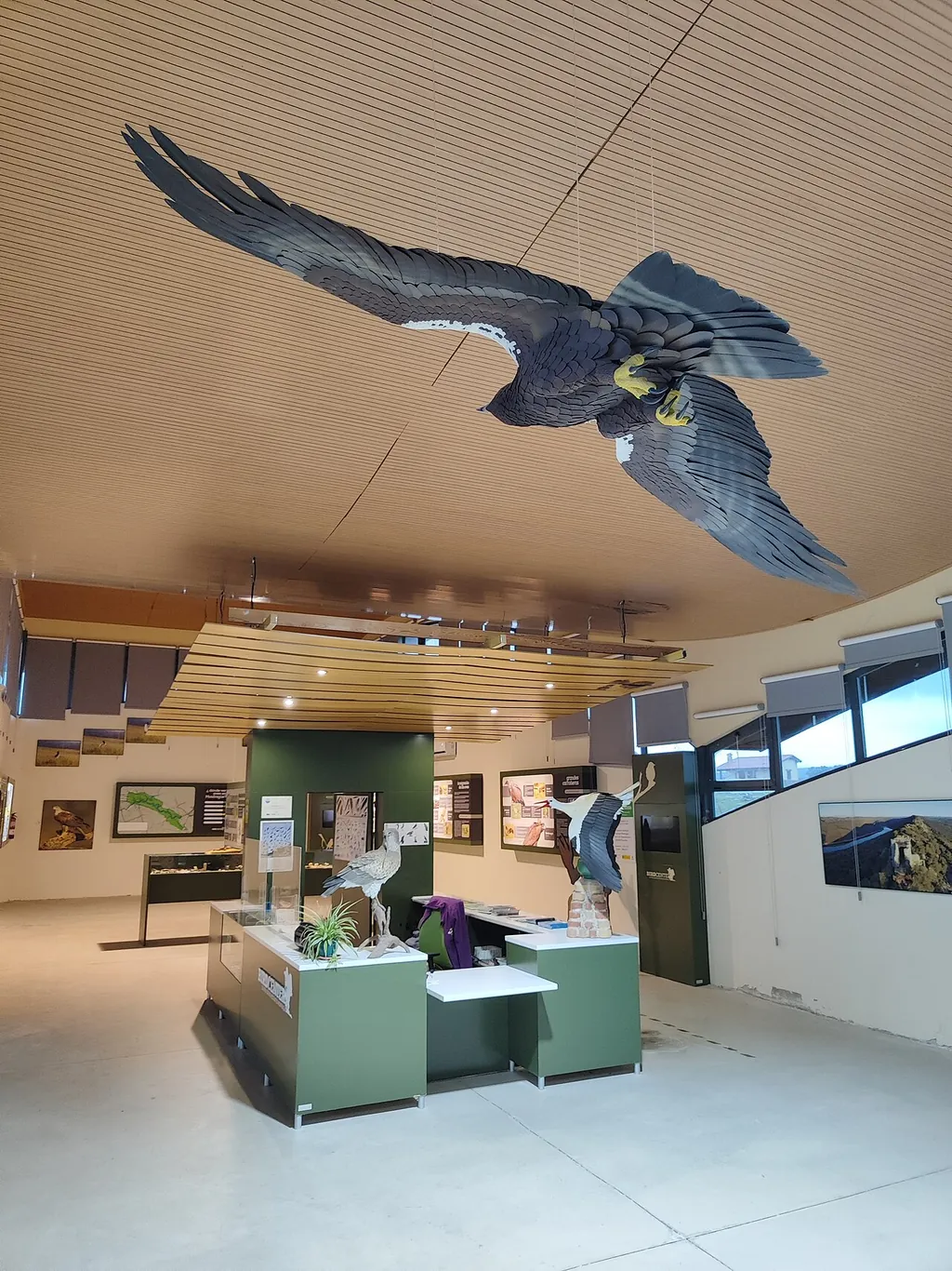Birdcenter Monfragüe in Torrejón el Rubio