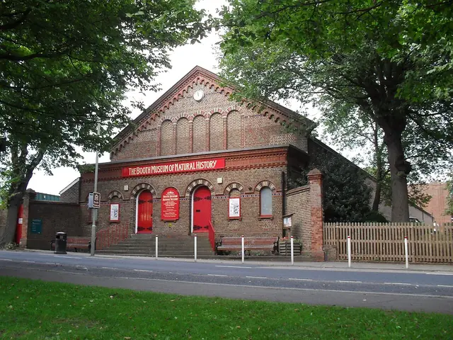Booth Museum of Natural History in Brighton