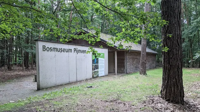 Bosmuseum Pijnven in Hechtel-Eksel