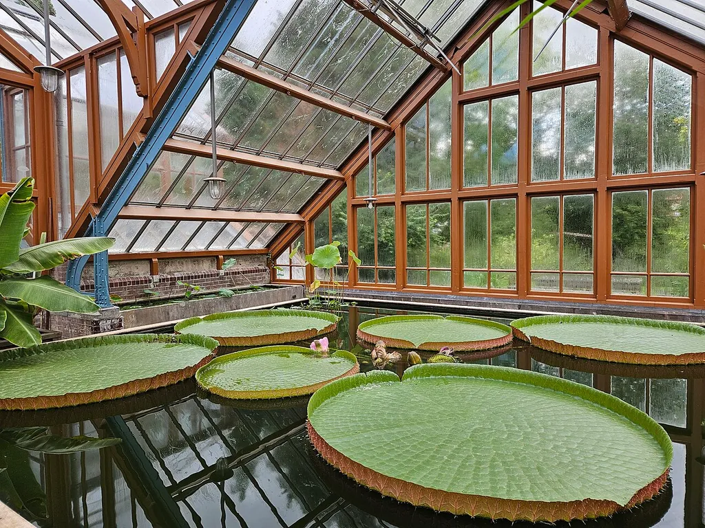 Botanische Tuinen Universiteit Utrecht – Foto 3 van 4