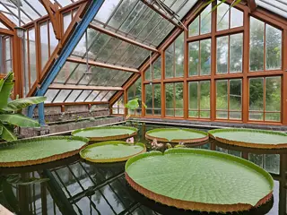 Botanische Tuinen Universiteit Utrecht – Foto 3 van 4
