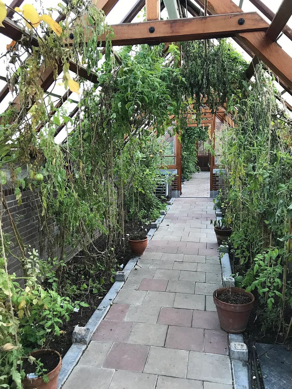 Botanische Tuinen Universiteit Utrecht – Foto 4 van 4