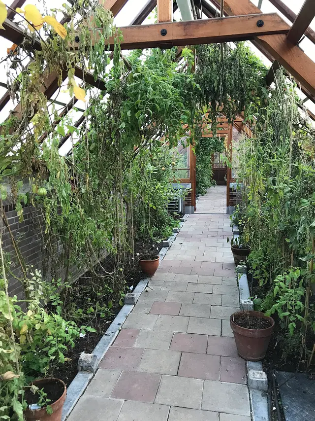 Botanische Tuinen Universiteit Utrecht – Foto 4 van 4