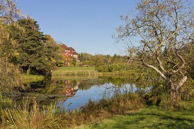 Botanischer Garten und Botanisches Museum Berlin in Berlino
