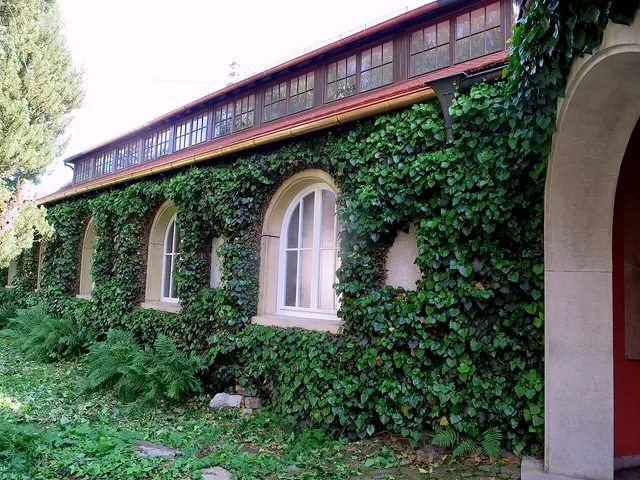Carl-Schweizer-Museum in Murrhardt