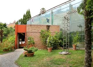 Casa delle Farfalle di Collodi in Pescia