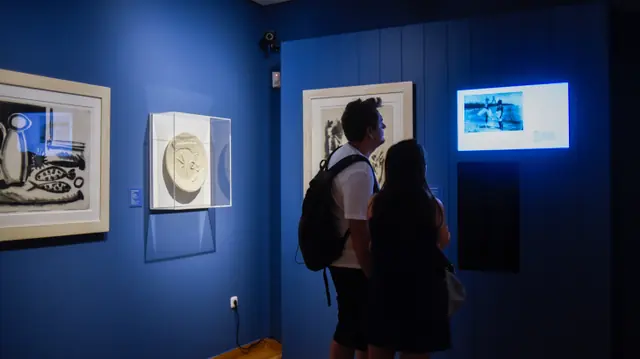 Museo Casa Natal Picasso in Málaga
