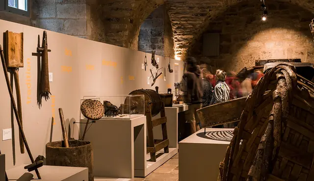 Castanea – Espace découverte de la châtaigne d'Ardèche in Joyeuse