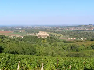 Castello di Torrechiara in Langhirano – Foto 3 di 3