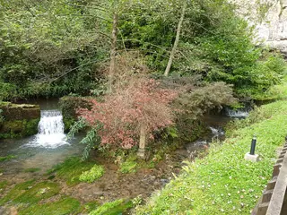 Wookey Hole Museum in Wells – Photo 5 of 6