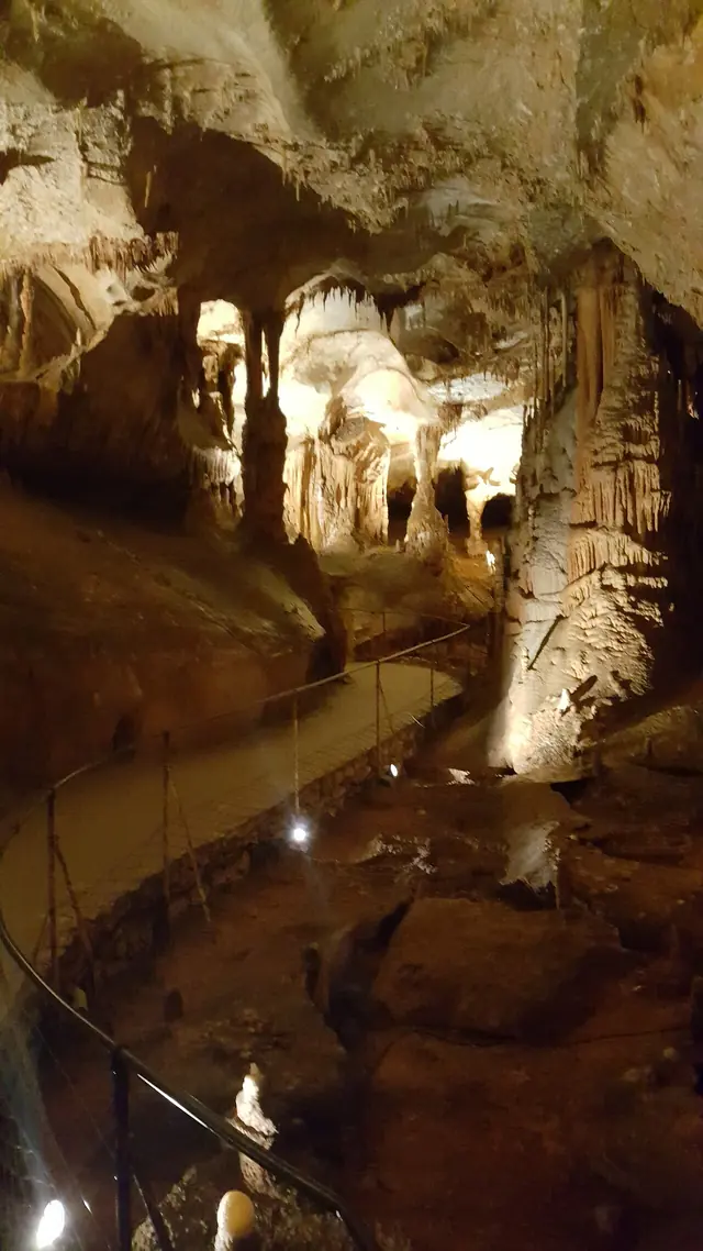 Centre de préhistoire du Pech Merle in Cabrerets