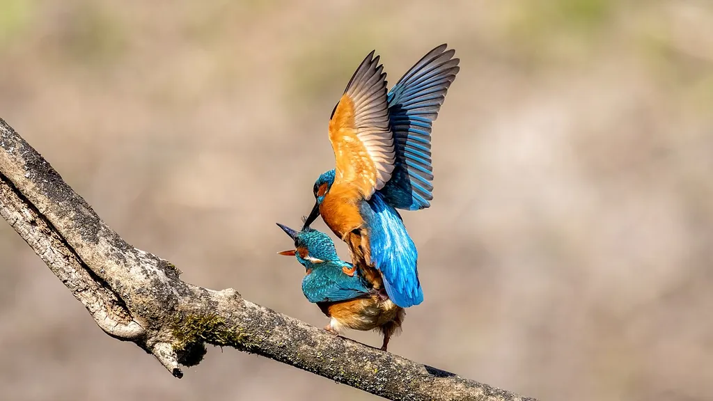 Centre-Nature BirdLife de La Sauge in Cudrefin – Photo 4 sur 5