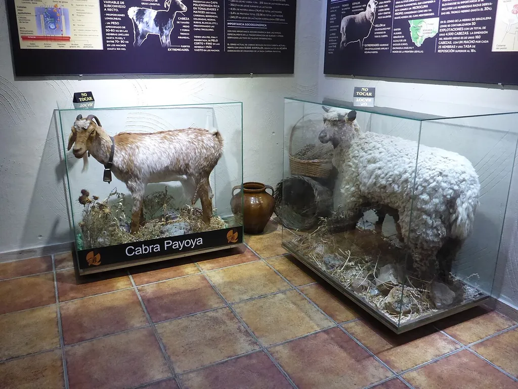 Museo del Queso El Bosqueño