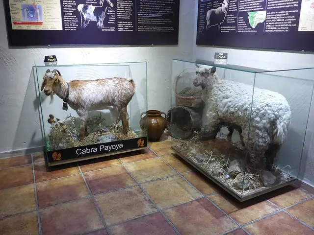 Museo del Queso El Bosqueño