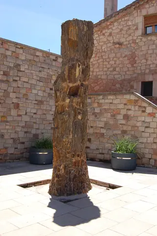 Centro de Visitantes del Árbol Fósil in Hacinas – Photo 2 of 2