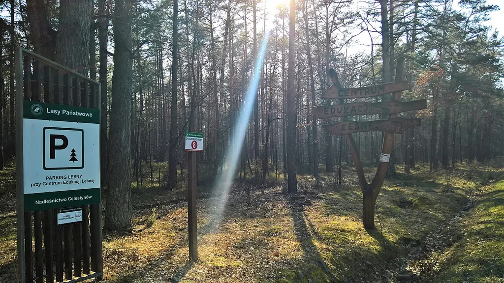 Centrum Edukacji Leśnej in Celestynów