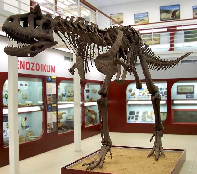 Chlupáčovo muzeum historie Země in Praga