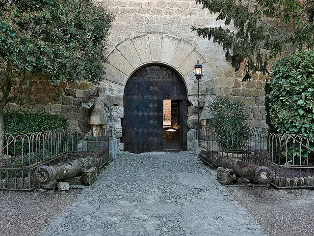 Colección Eugenio Fontaneda-Castillo de Ampudia – Foto 4 de 6