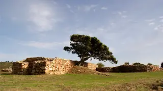 Complesso archeologico di S'Arcu 'e Is Forros in Villagrande Strisaili