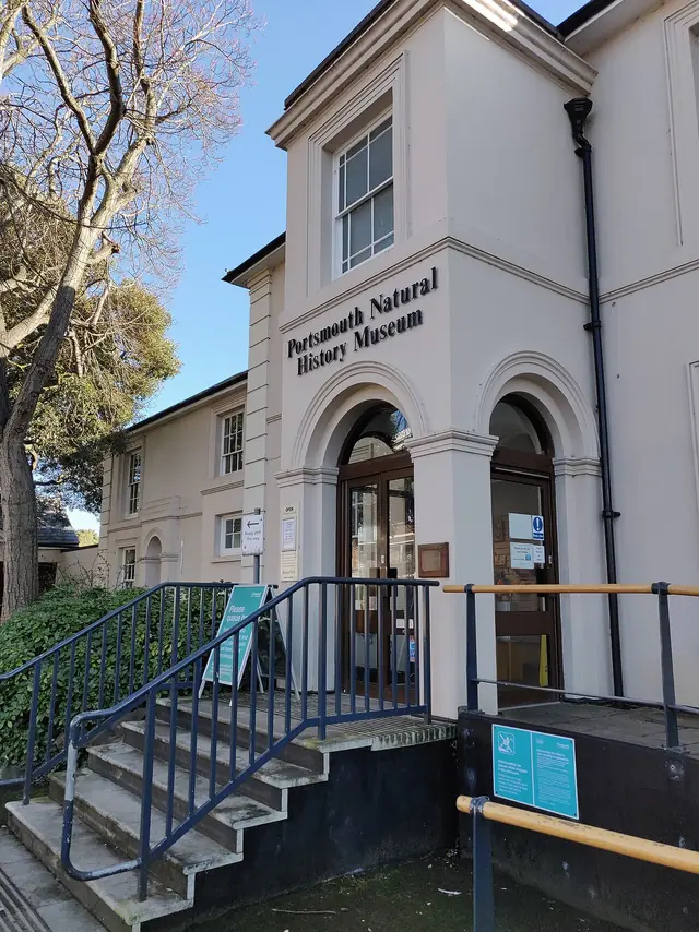 Portsmouth Natural History Museum in Southsea – Bild 2 von 5