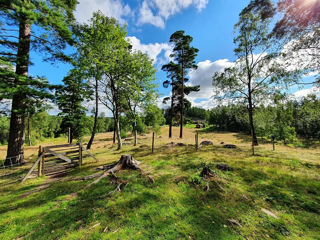 Dammsjöås in Alingsås – Bild 7 av 7