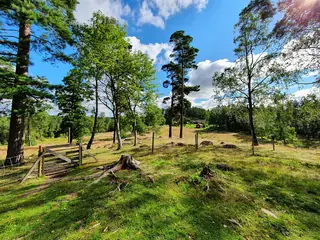 Dammsjöås in Alingsås – Bild 7 av 7