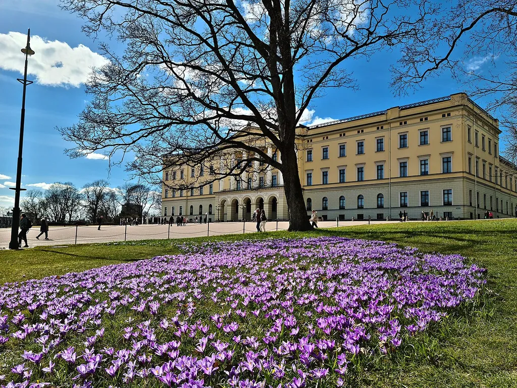 Det kongelige slott in Oslo – Bilde 2 av 4