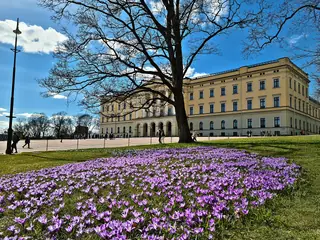 Det kongelige slott in Oslo – Bilde 2 av 4
