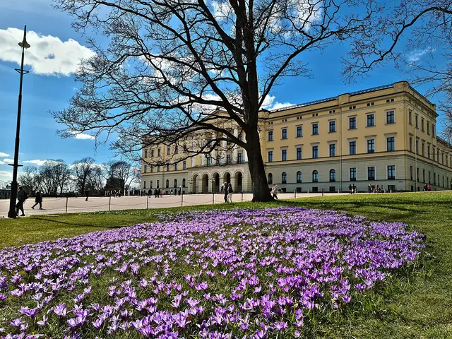 Det kongelige slott in Oslo – Bilde 2 av 4