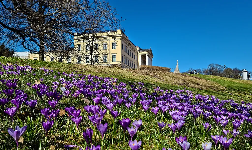 Det kongelige slott in Oslo – Bilde 3 av 4