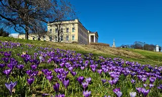 Det kongelige slott in Oslo – Bilde 3 av 4