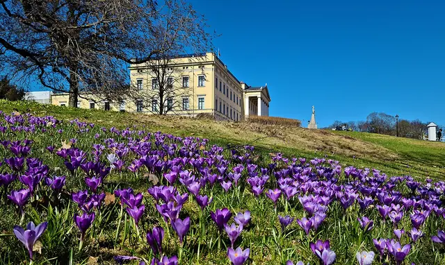 Det kongelige slott in Oslo – Bilde 3 av 4