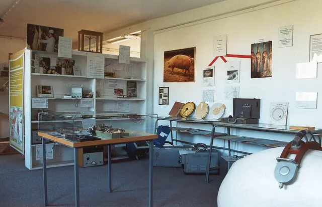 Deutsches Schweinemuseum in Teltow