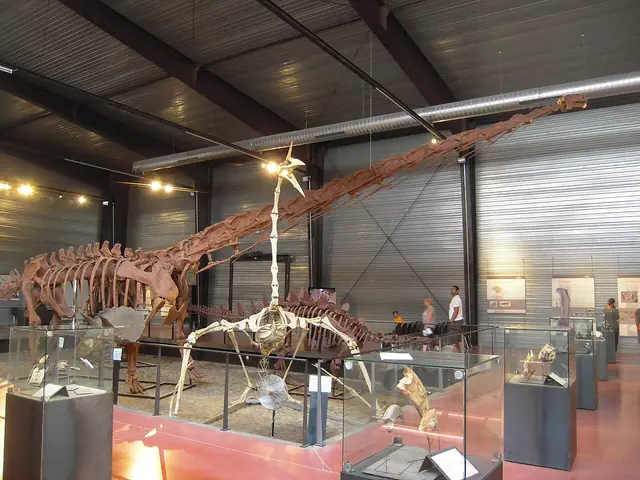 Dinosauria in Espéraza