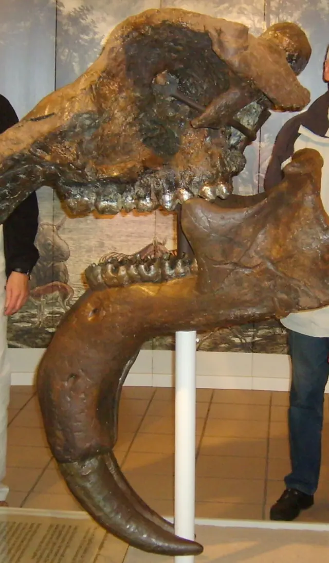 Dinotherium-Museum in Eppelsheim