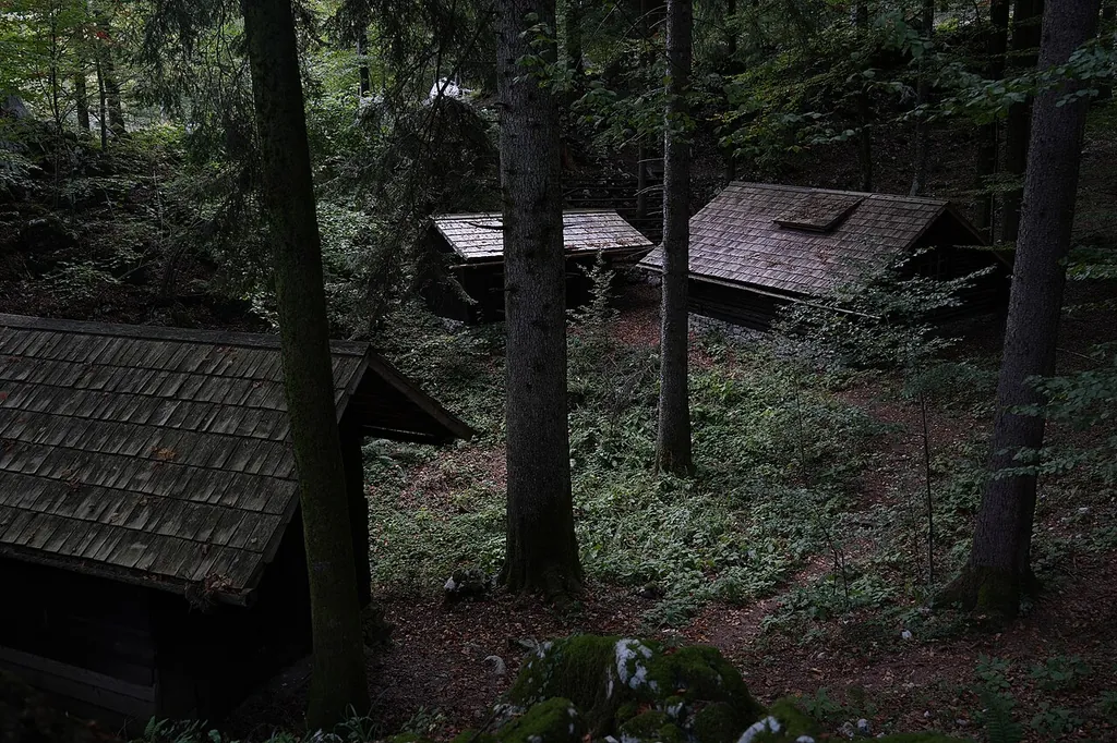 Dolenjski muzej in Novo mesto – Photo 4 of 8