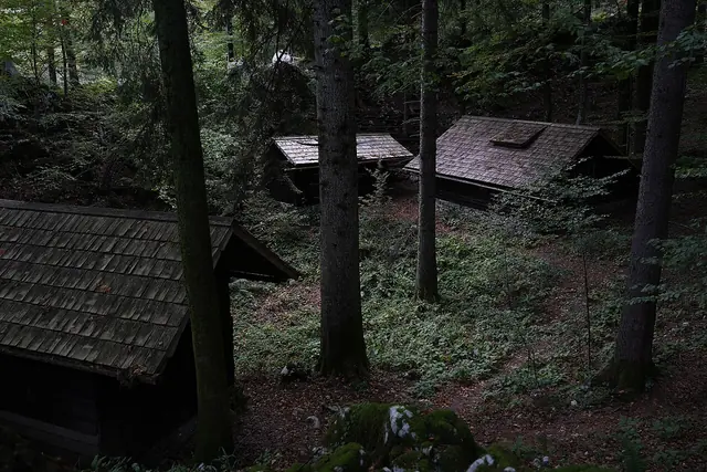 Dolenjski muzej in Novo mesto – Photo 4 of 8