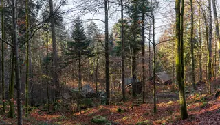 Dolenjski muzej in Novo mesto – Photo 5 of 8